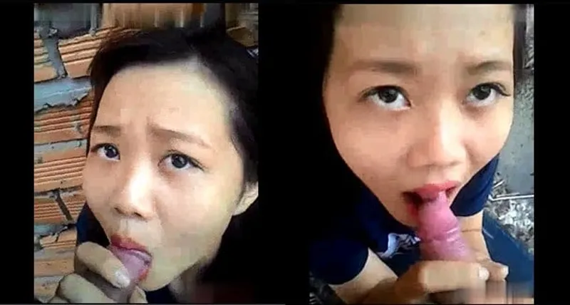 Gấu liếm cò ở vườn sau nhà